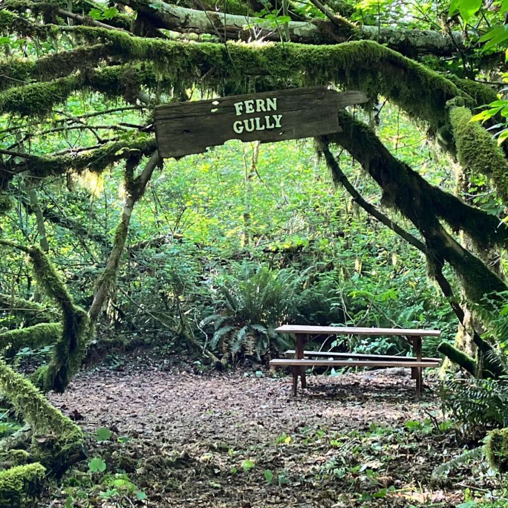 Cedar Groves Rural Campground Image