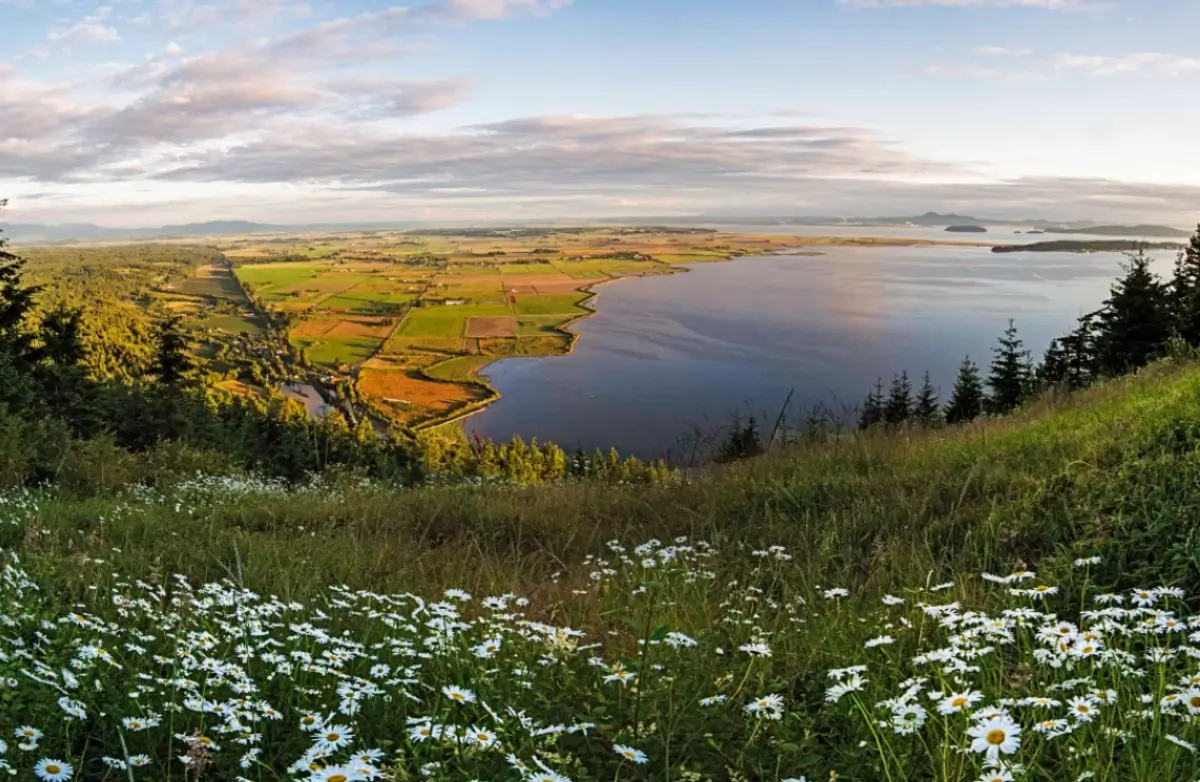 Chuckanut Drive