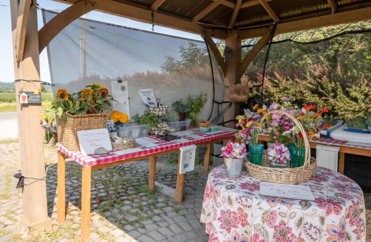 Flower farmstand in Skagit Valley