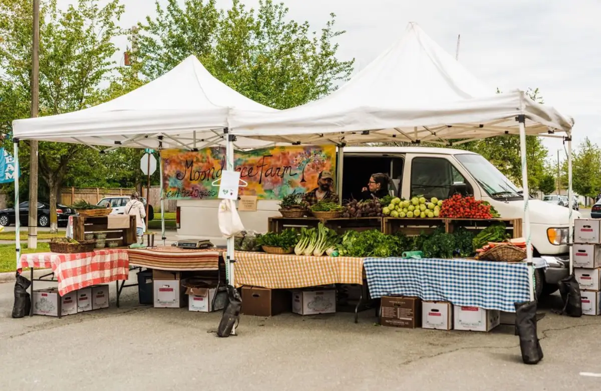 Exploring Skagit Valley