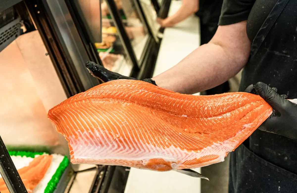 Fresh Salmon in Skagit Valley