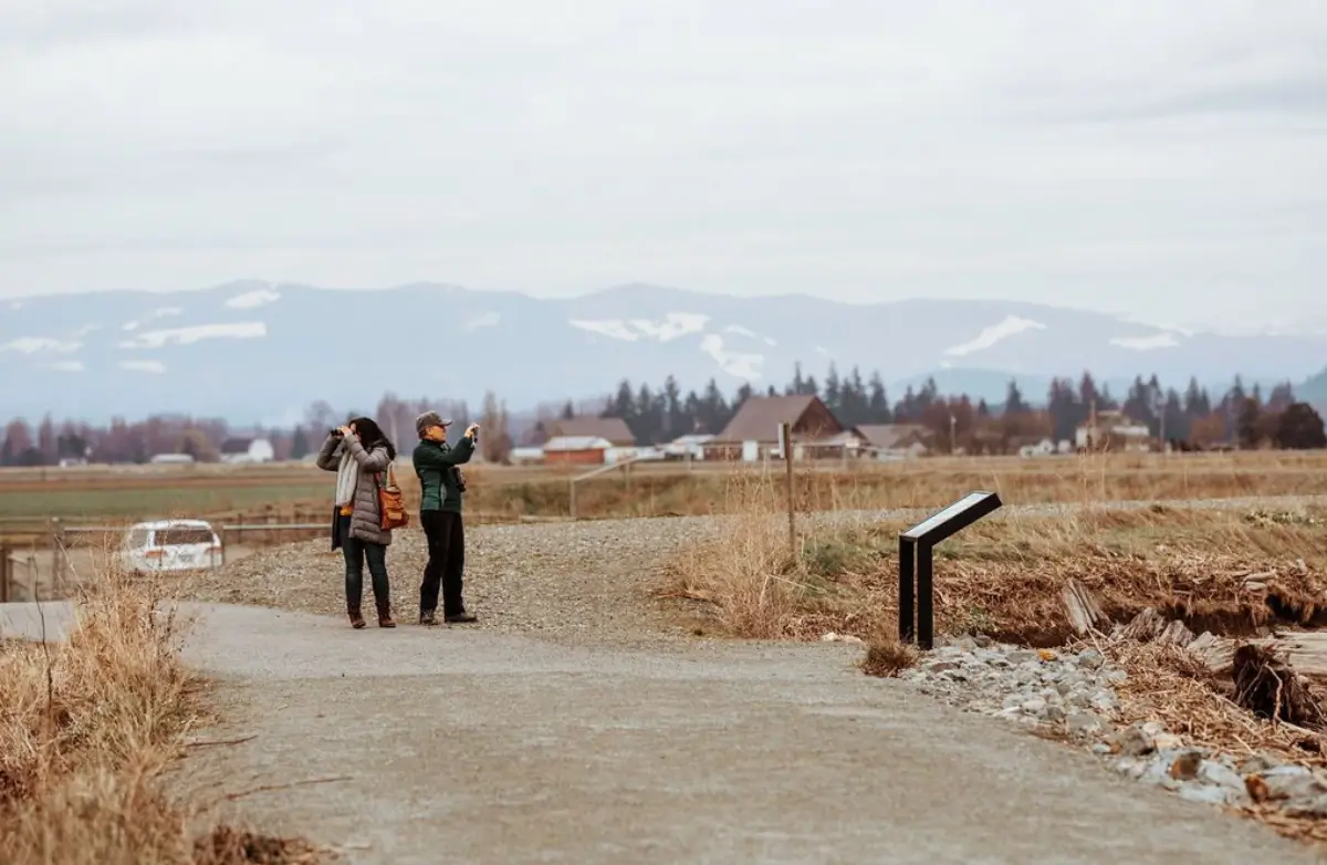 Birding in Skagit Valley