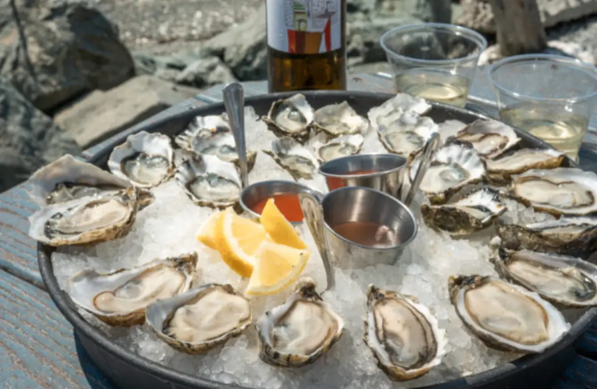 Oysters in Skagit Valley