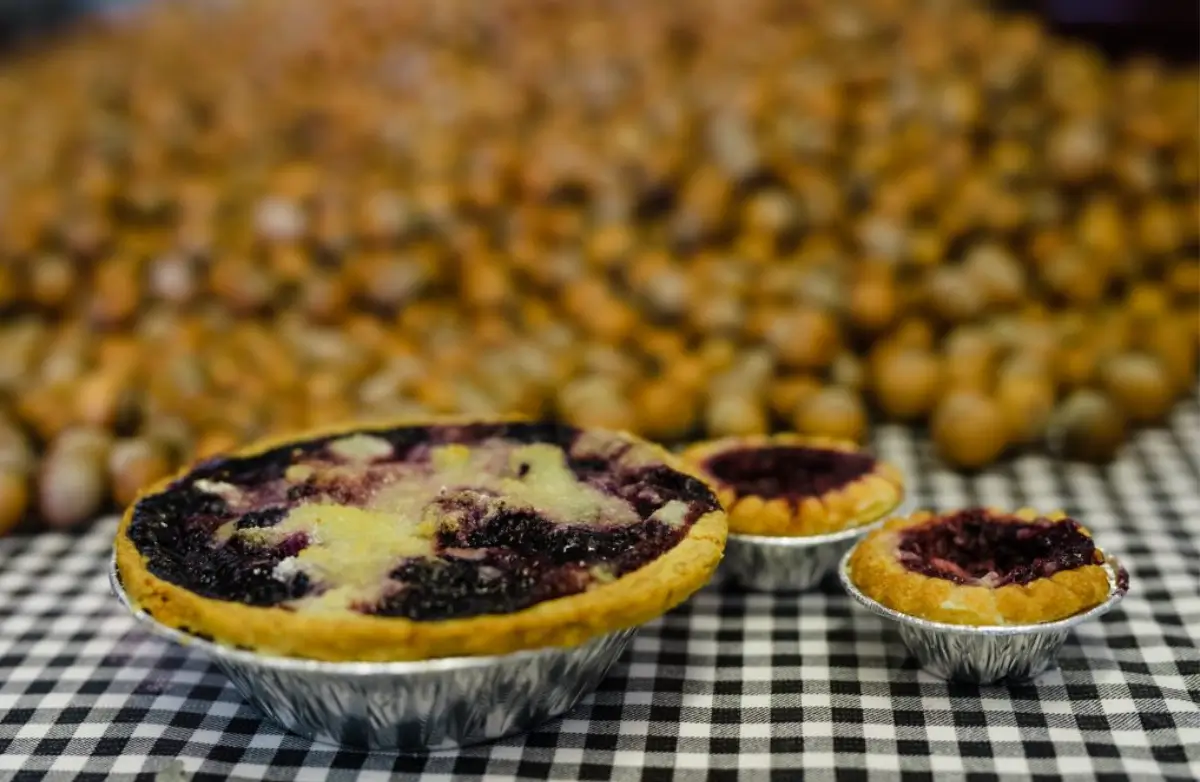 Spring pies in Skagit Valley