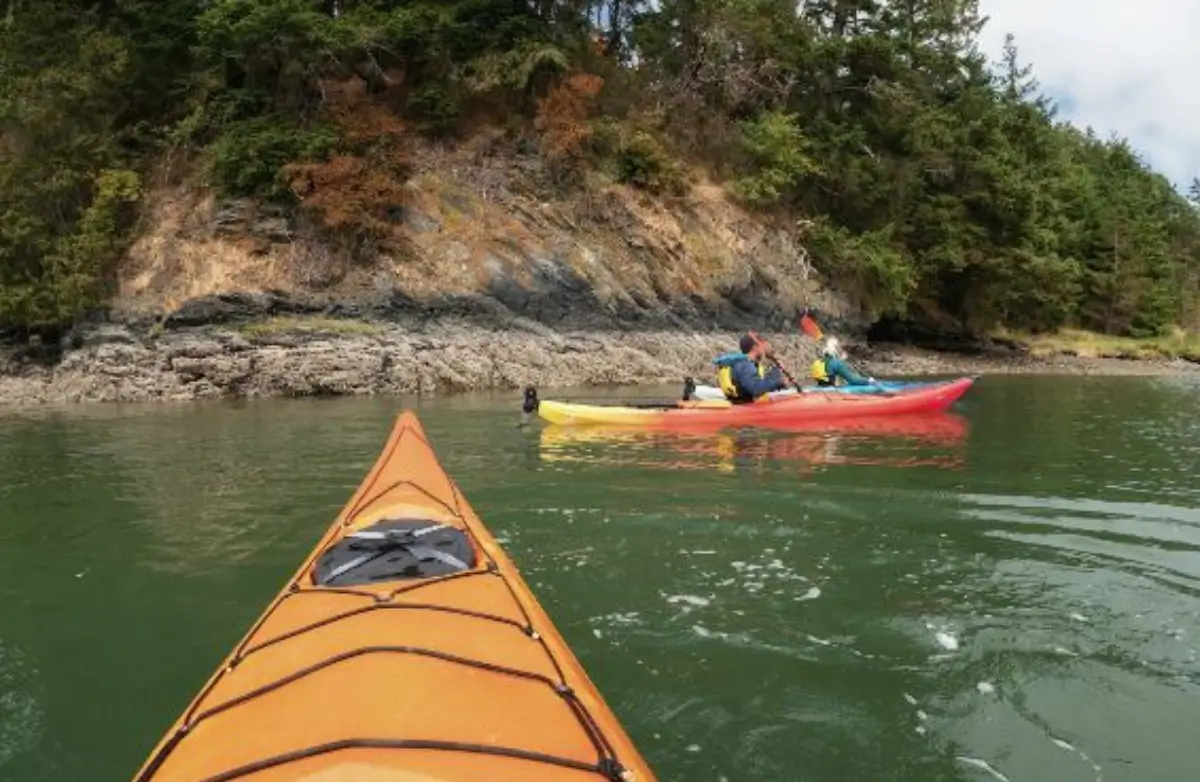 Kayaking in Skagit Valley