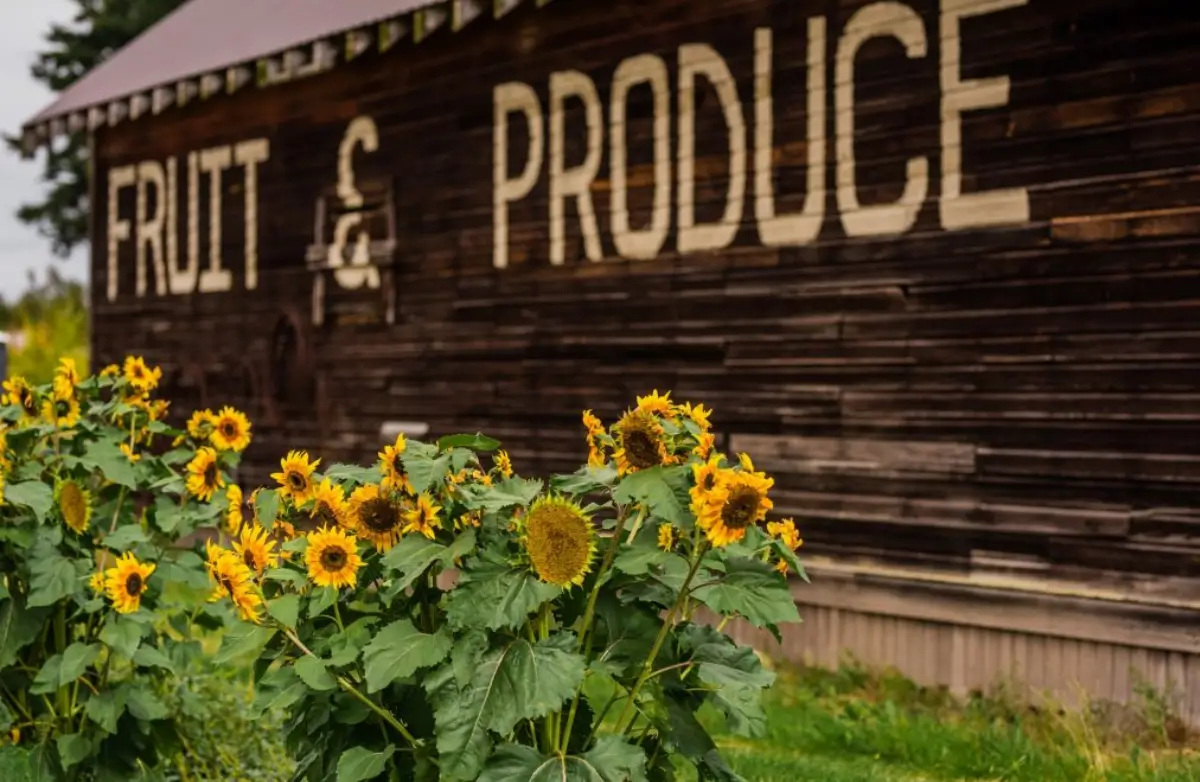 Sign for fruit and produce