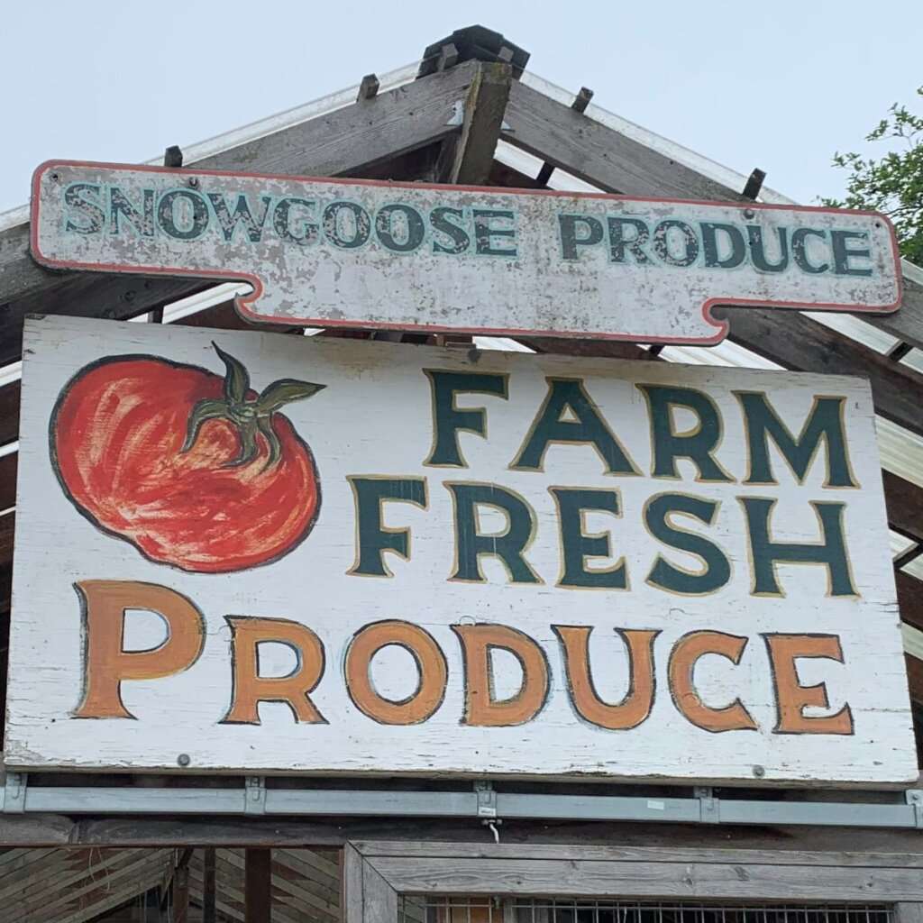 Snow Goose Produce Image