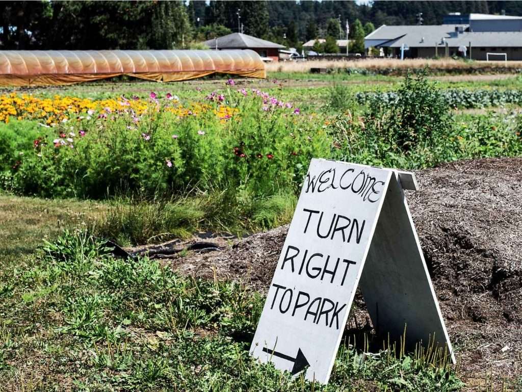 turn right sign at a farm