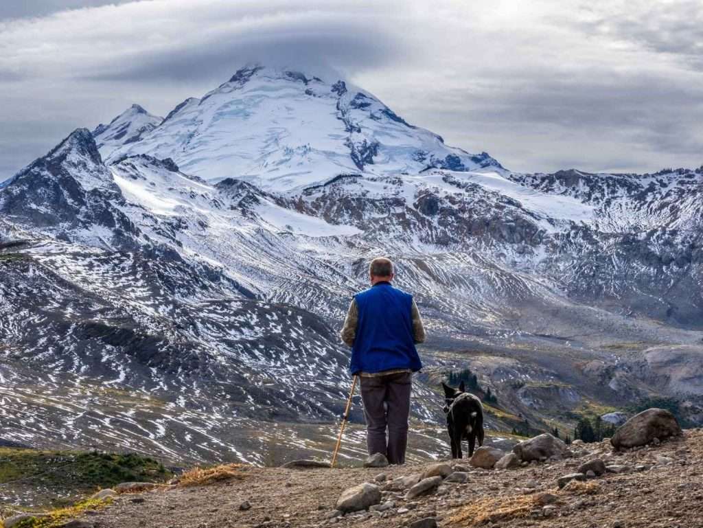 A hiker and their dog appreciating the view