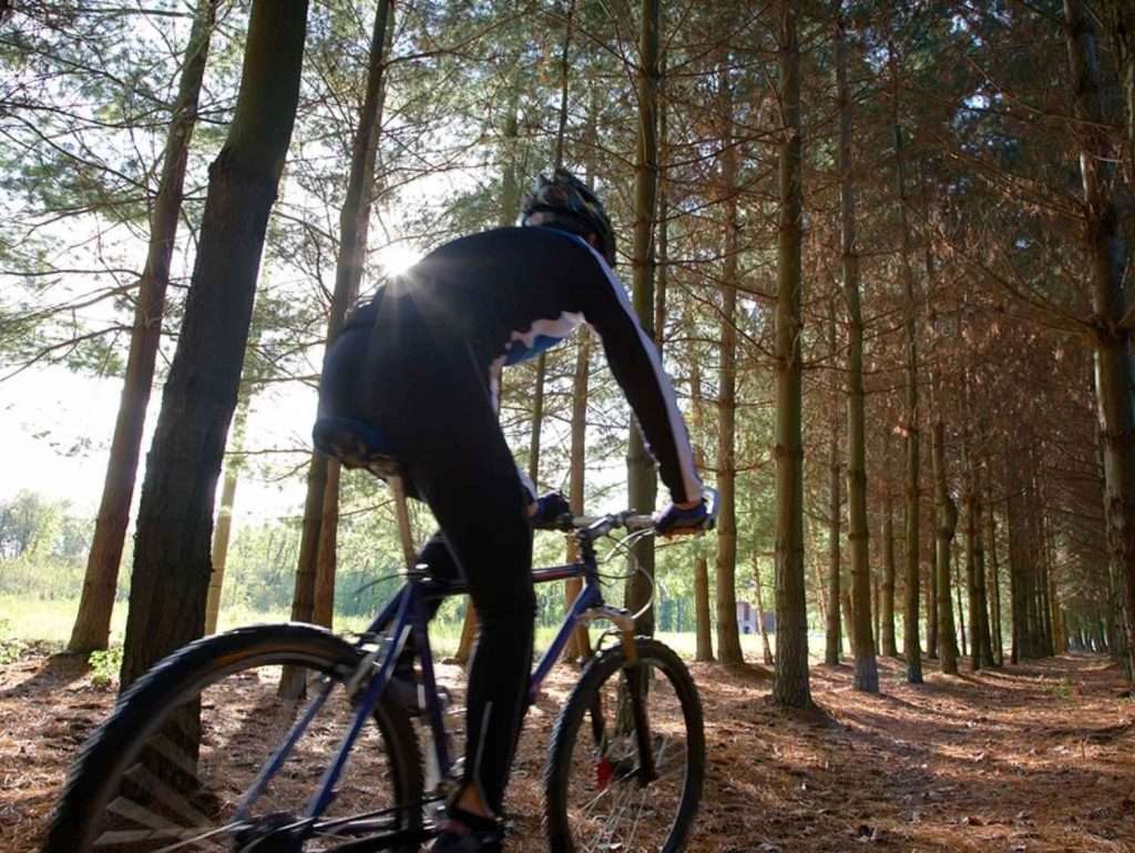 Biker on a trail