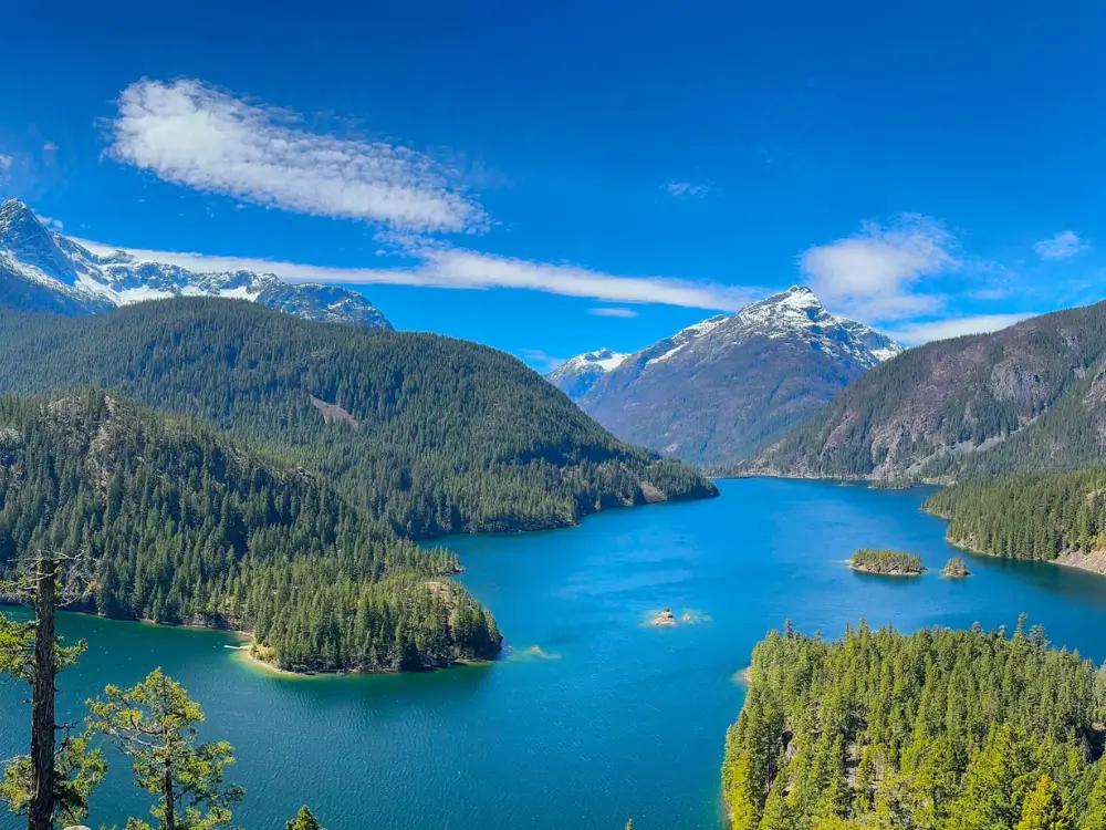 Spring in Skagit Valley