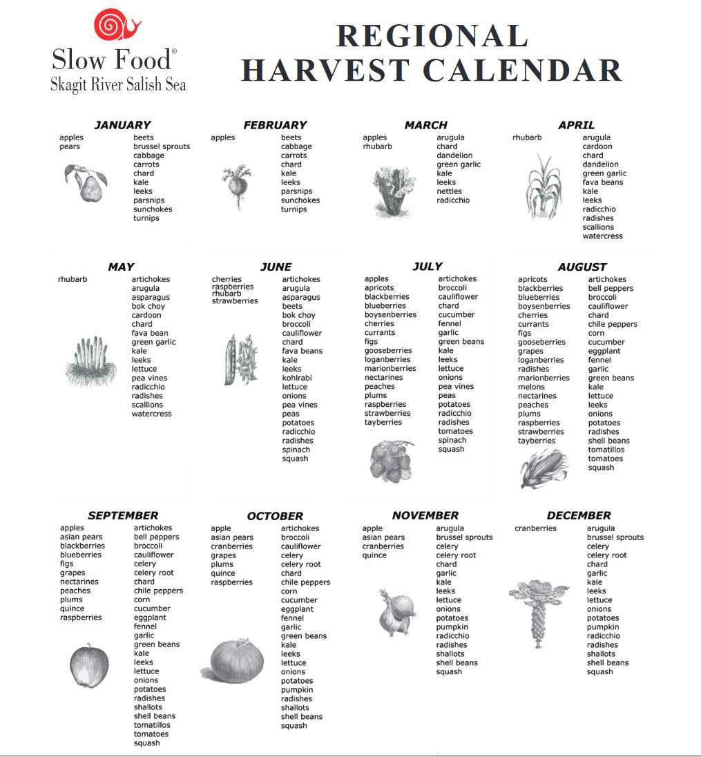 Slow Food Chart