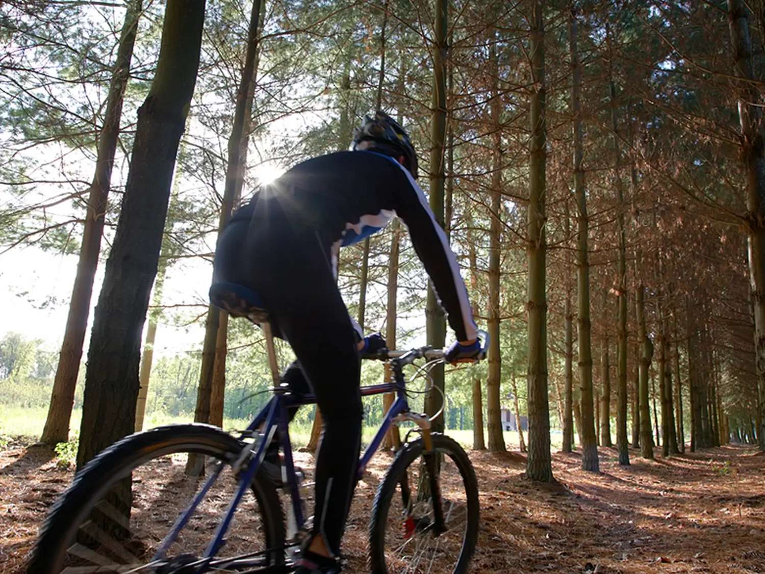 Mountain Biking