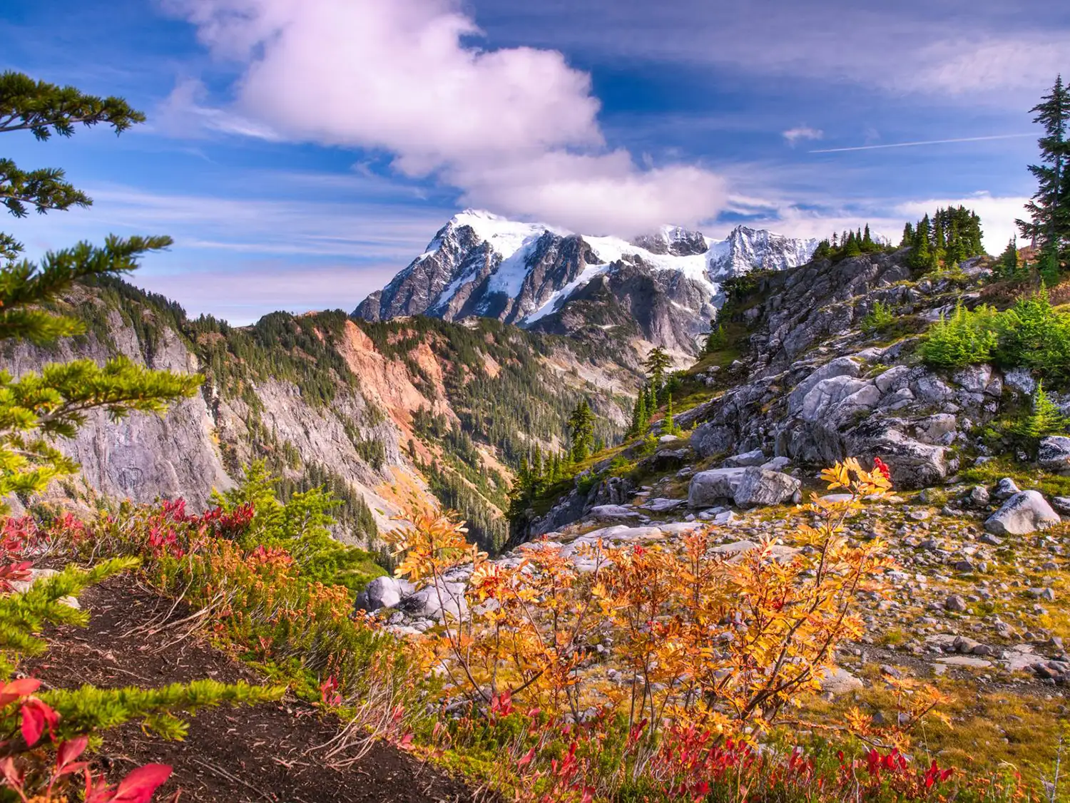 Fall Activities in Skagit Valley